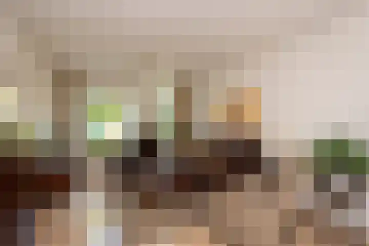 Bruggenrijt 25 Tilburg thumbnail 4