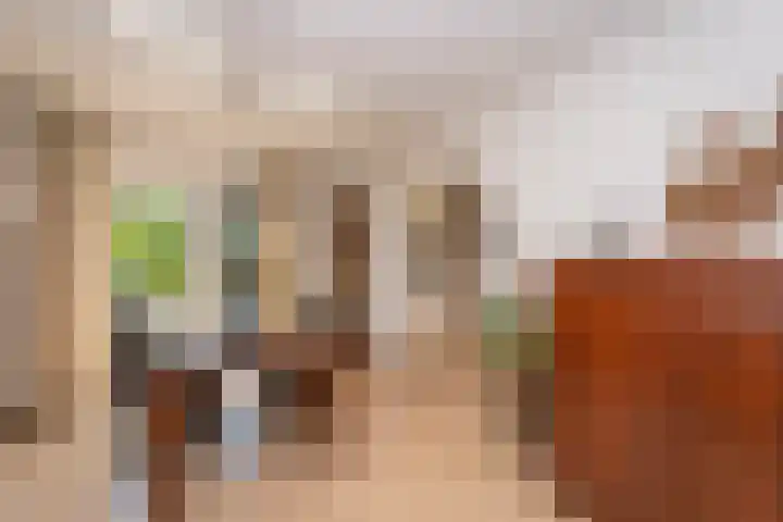 Bruggenrijt 25 Tilburg thumbnail 7