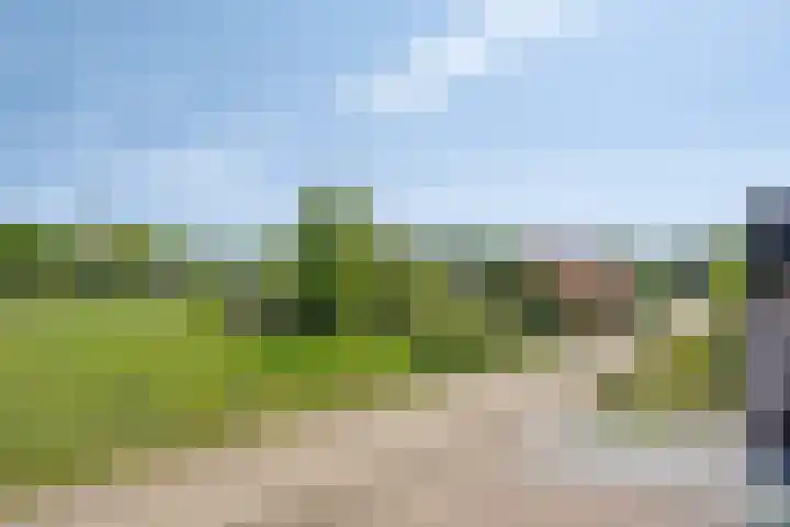 Bruggensestraat 18 Rosmalen thumbnail 29