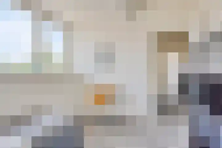 Bruggensestraat 18 Rosmalen thumbnail 34