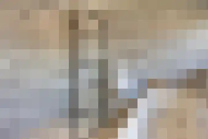 Bruggensestraat 18 Rosmalen thumbnail 36
