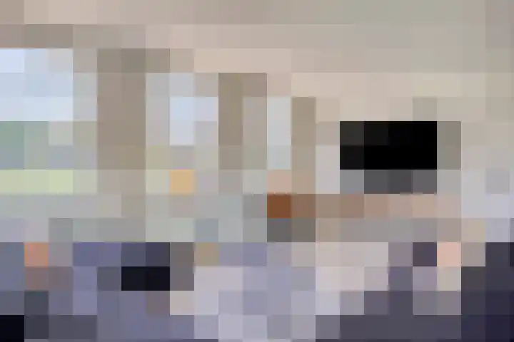 Bruggensestraat 18 Rosmalen thumbnail 7