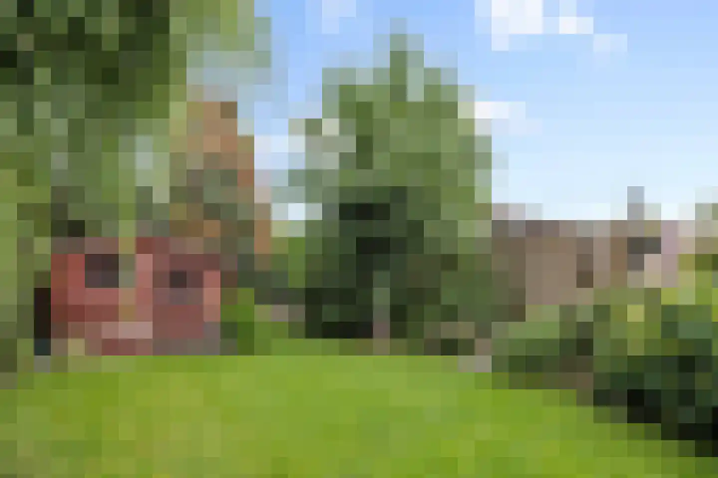 Bruggensestraat 40 Rosmalen thumbnail 35