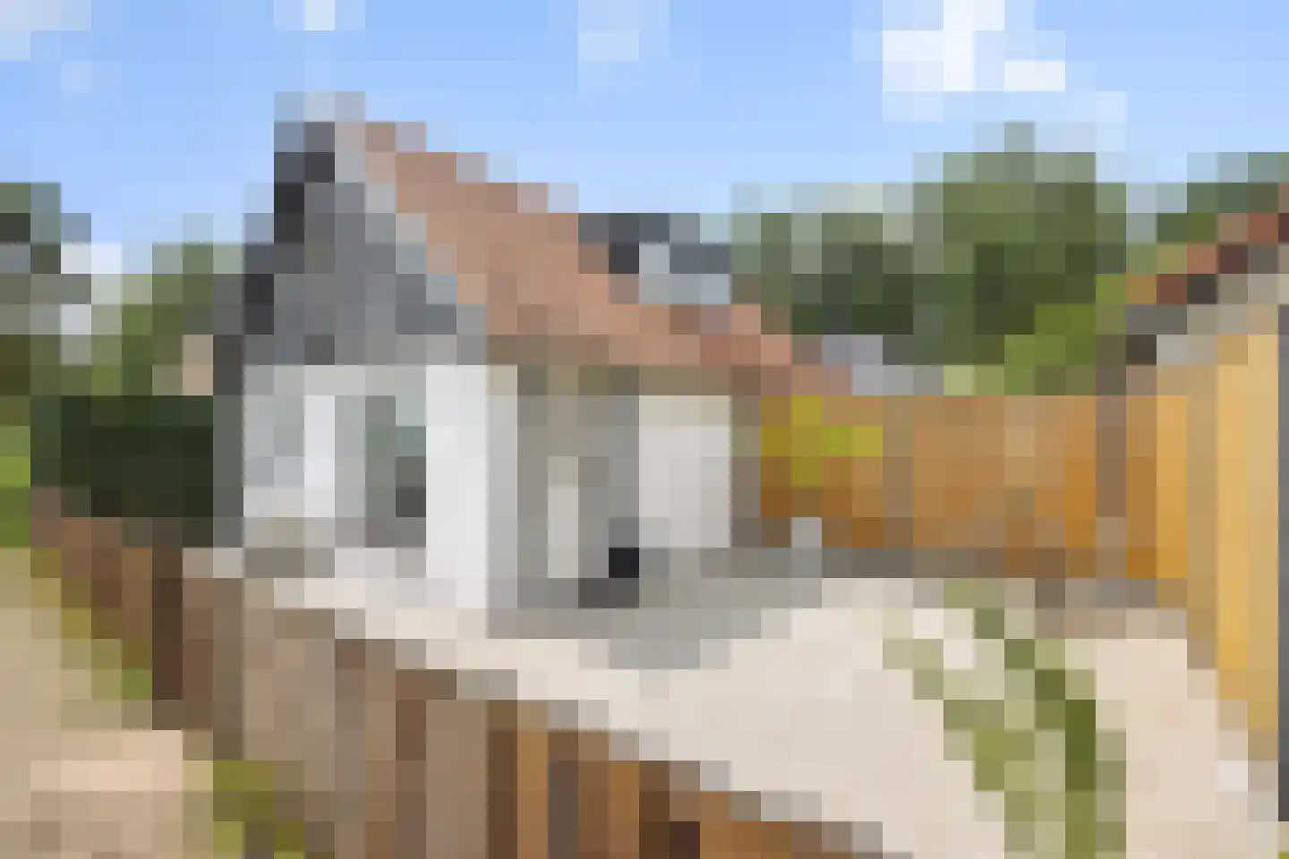 Bruggensestraat 40 Rosmalen thumbnail 39