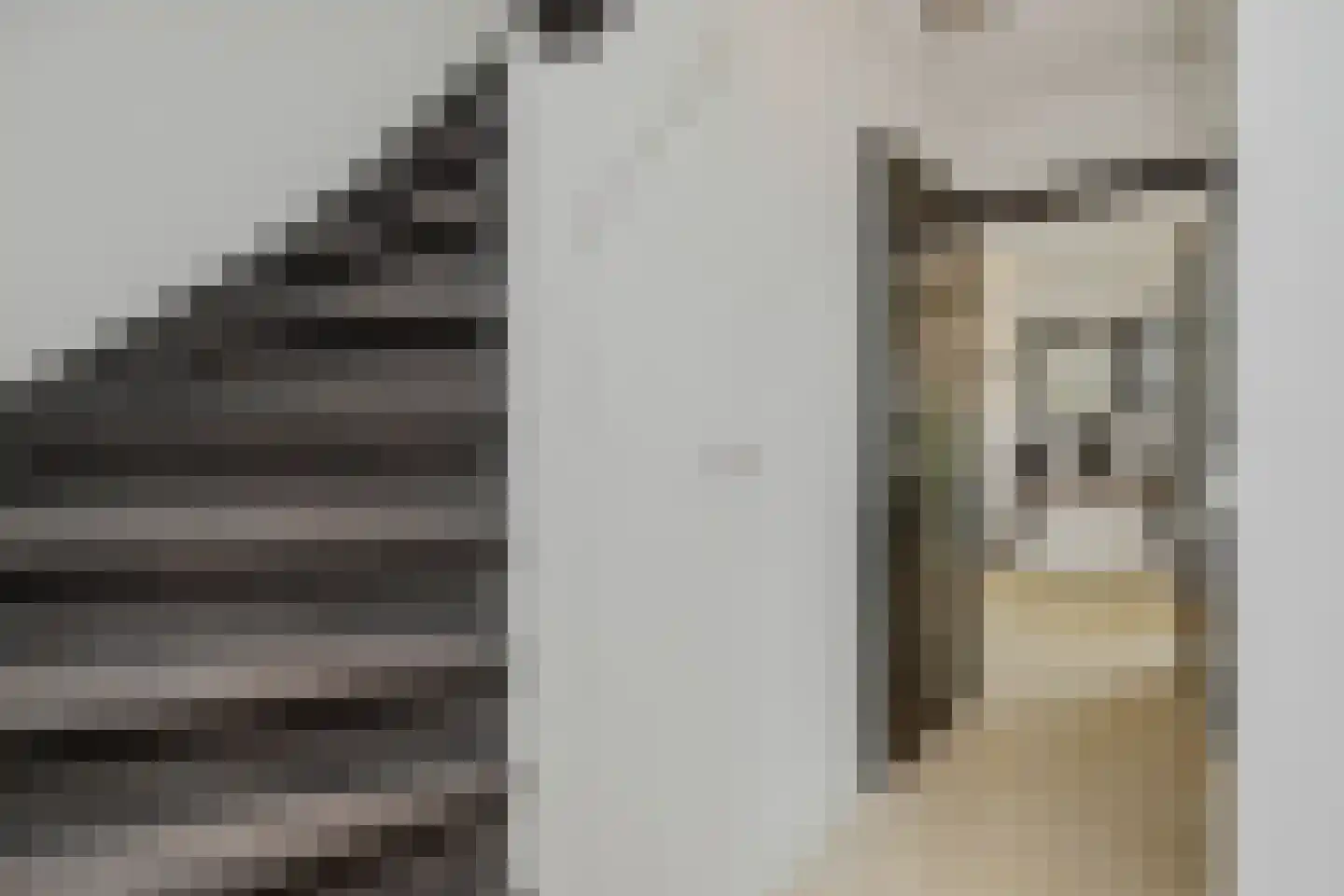 Bruggensestraat 40 Rosmalen thumbnail 4
