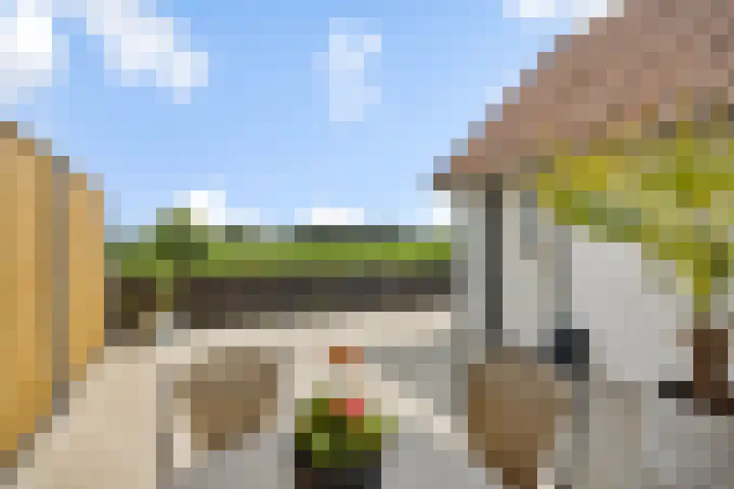 Bruggensestraat 40 Rosmalen thumbnail 40