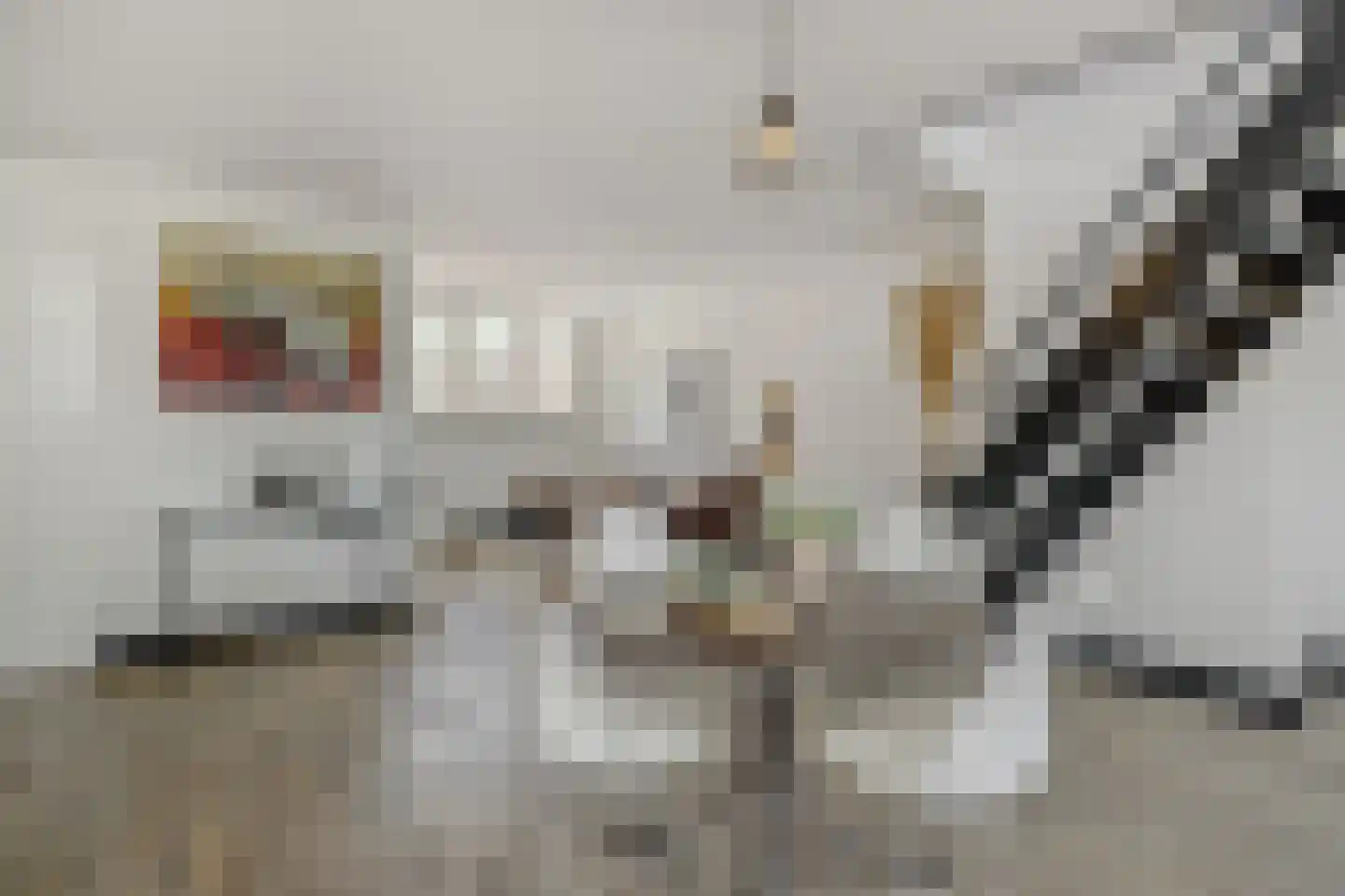 Bruggensestraat 40 Rosmalen thumbnail 42