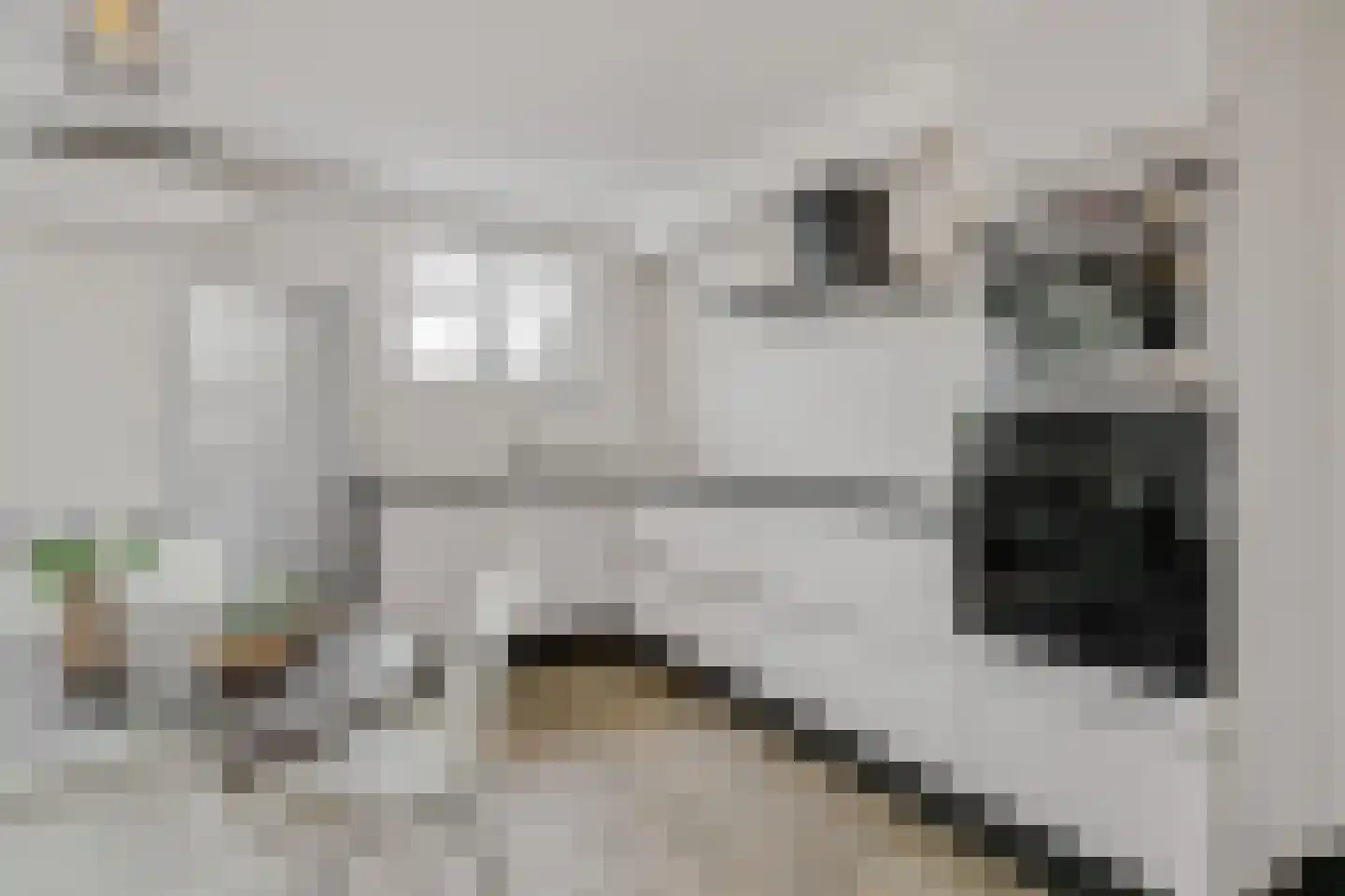 Bruggensestraat 40 Rosmalen thumbnail 43