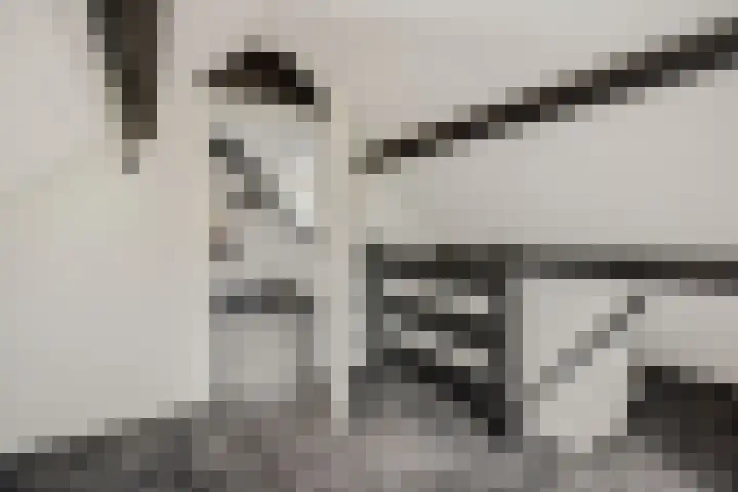 Bruggensestraat 40 Rosmalen thumbnail 47