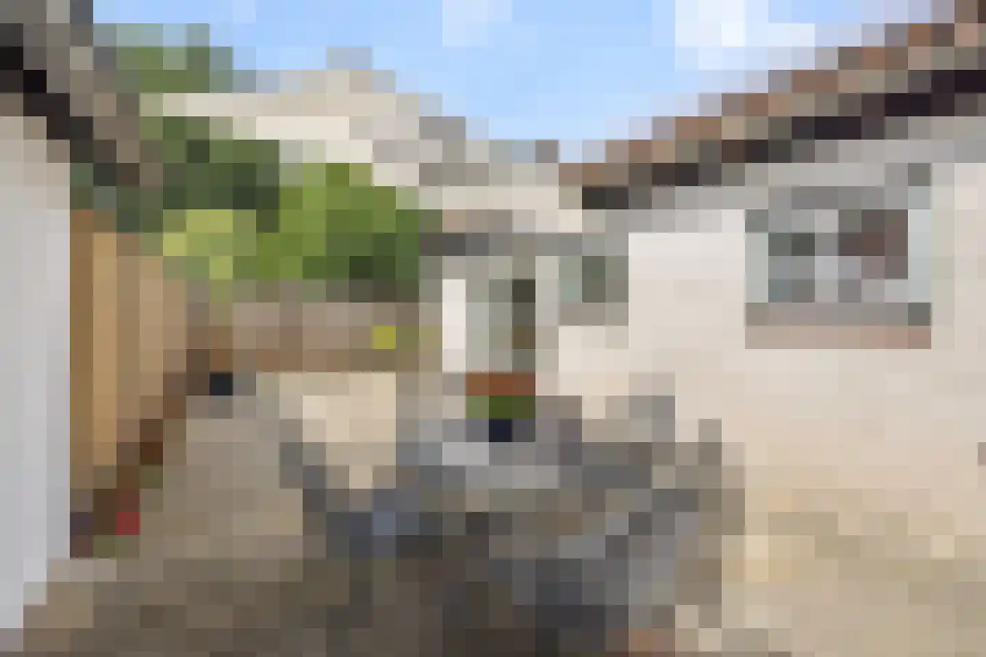 Bruggensestraat 40 Rosmalen thumbnail 62