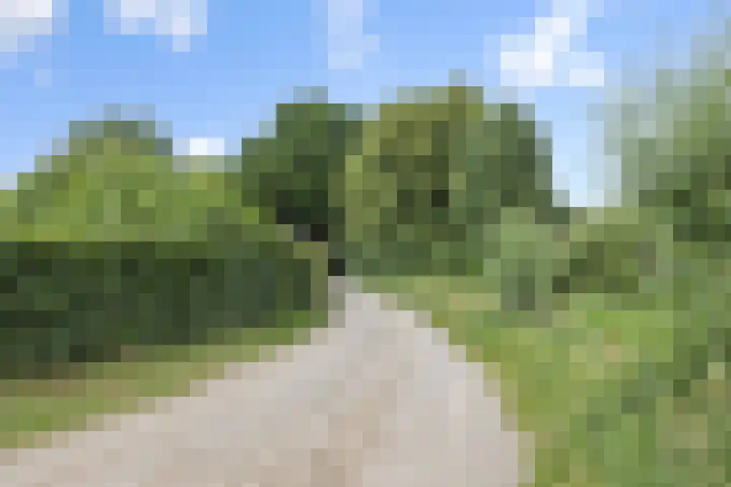 Bruggensestraat 40 Rosmalen thumbnail 68