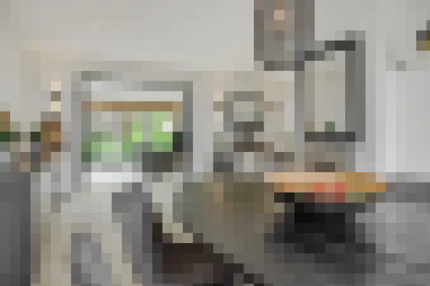 Bruggensestraat 40 Rosmalen thumbnail 7