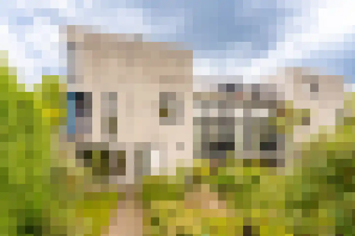 Bruggensingel-Noord 11 Amersfoort thumbnail 51