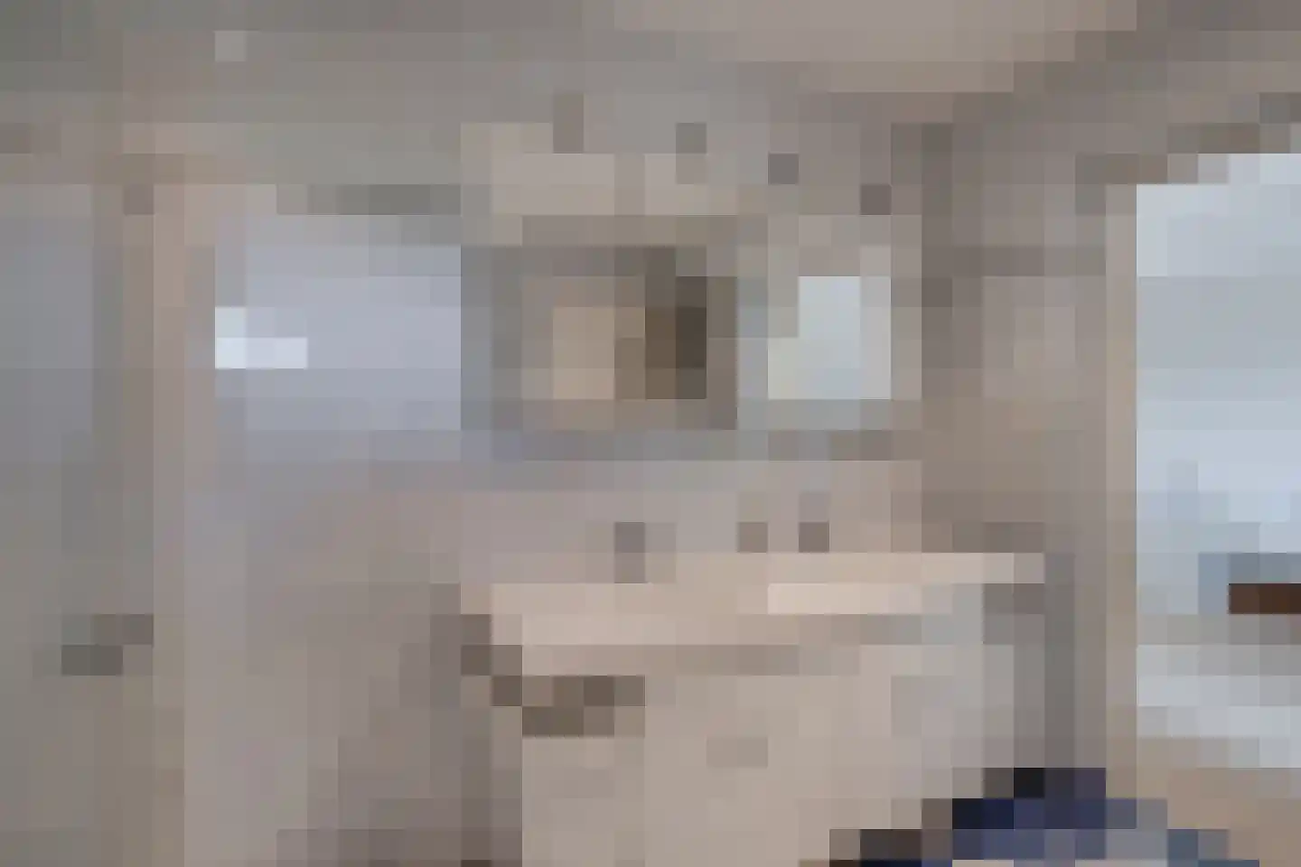Bruggertweg 3 a Beltrum thumbnail 14