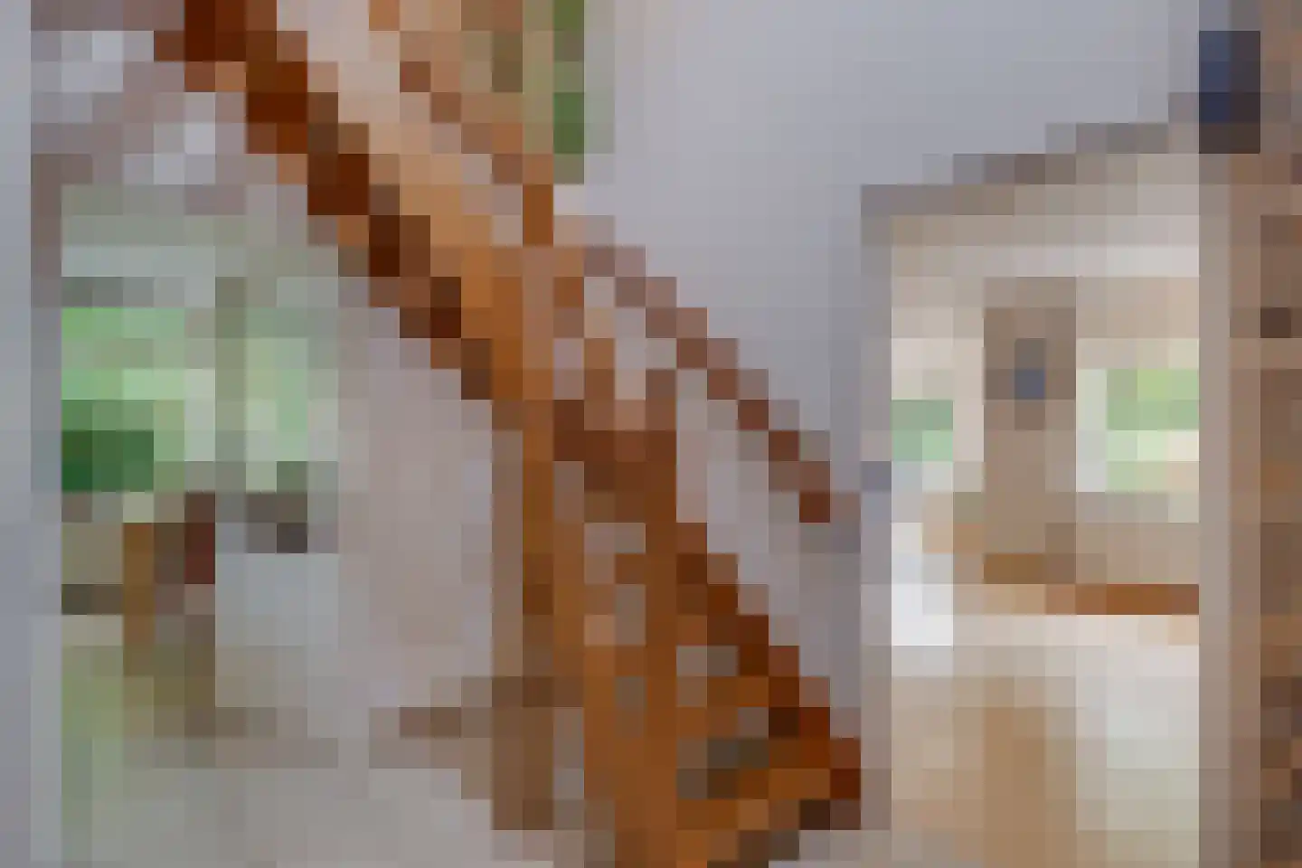Bruggertweg 3 a Beltrum thumbnail 16