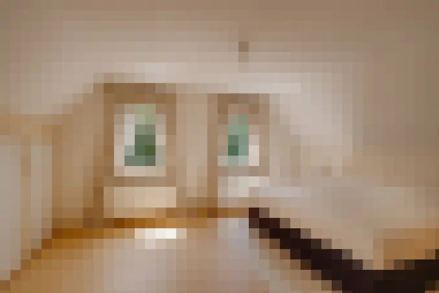 Bruggertweg 3 a Beltrum thumbnail 25