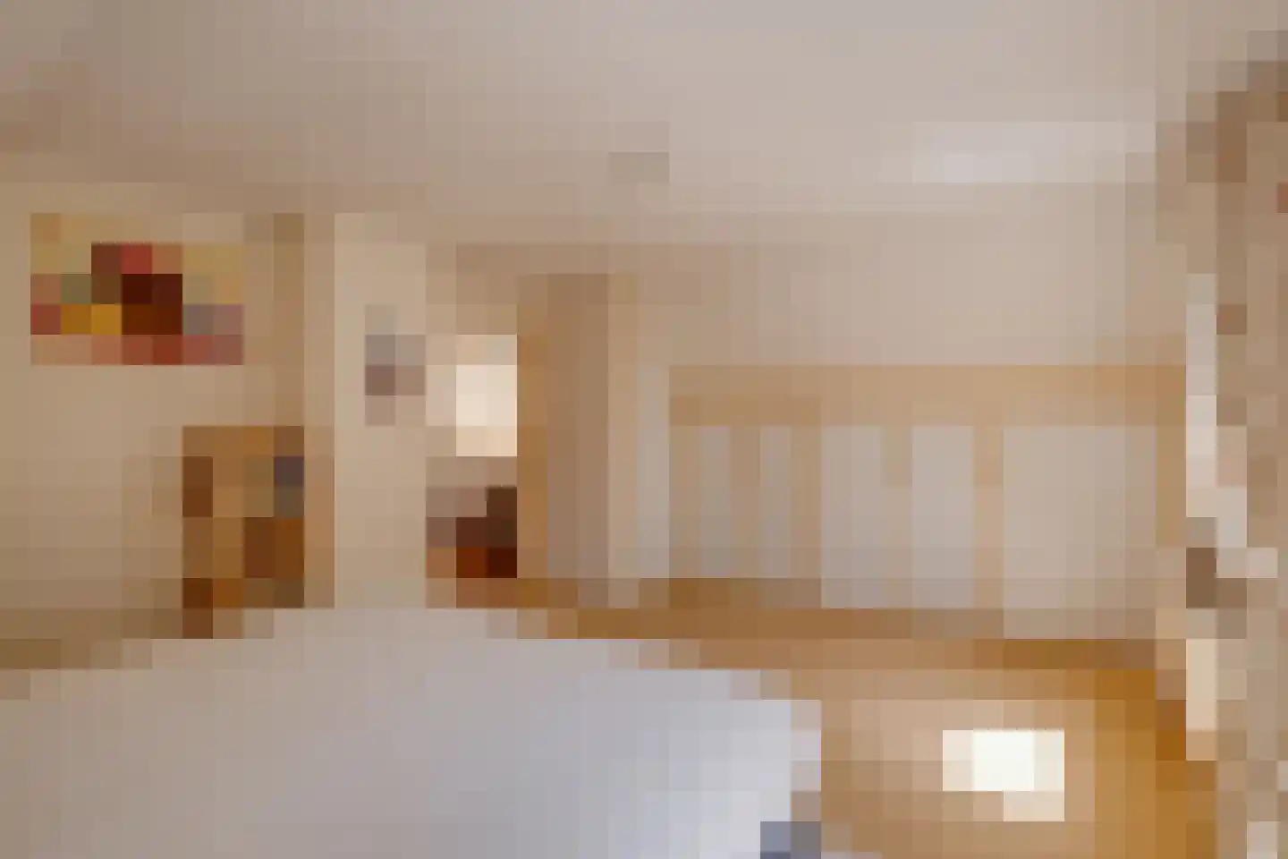 Bruggertweg 3 a Beltrum thumbnail 26