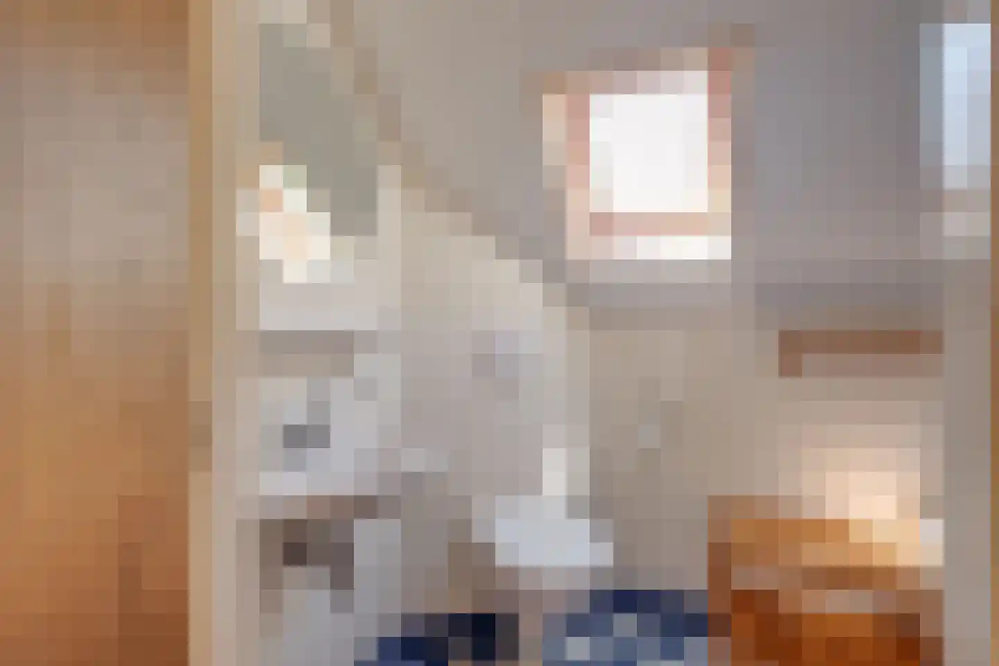 Bruggertweg 3 a Beltrum thumbnail 28