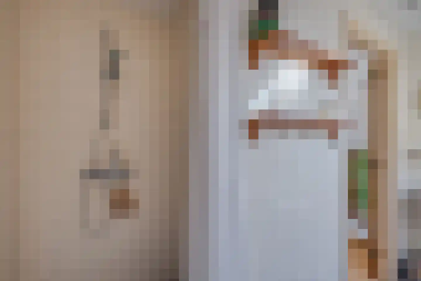 Bruggertweg 3 a Beltrum thumbnail 29