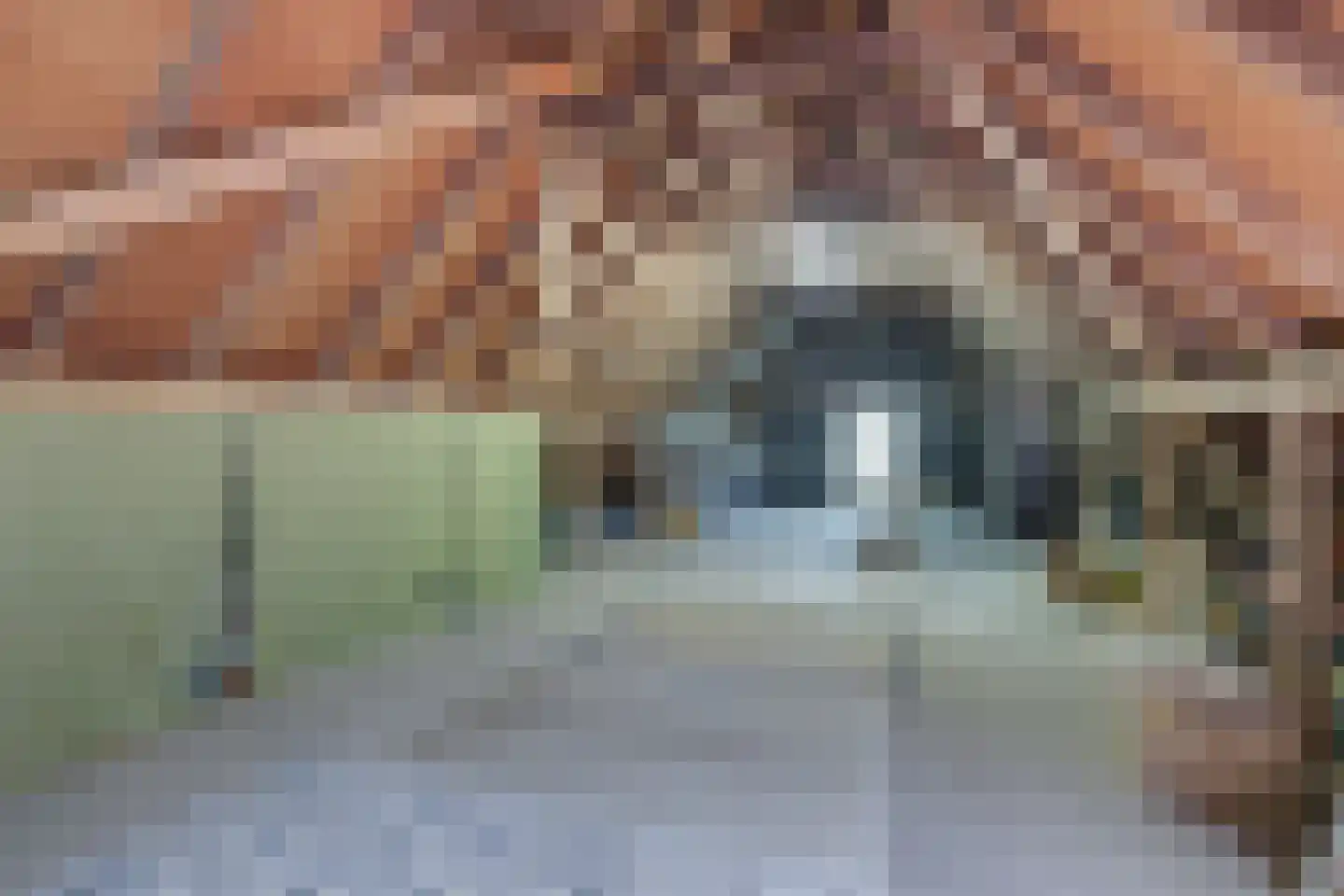 Bruggertweg 3 a Beltrum thumbnail 30
