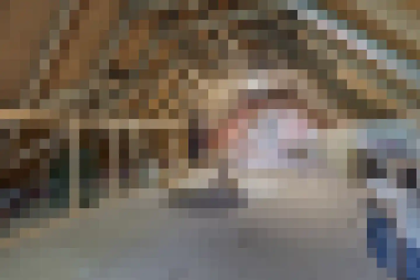 Bruggertweg 3 a Beltrum thumbnail 31
