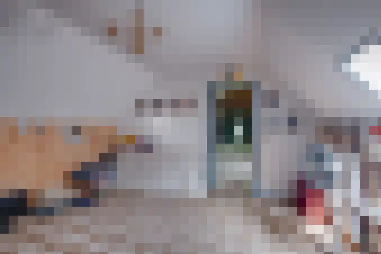 Bruggertweg 3 a Beltrum thumbnail 32