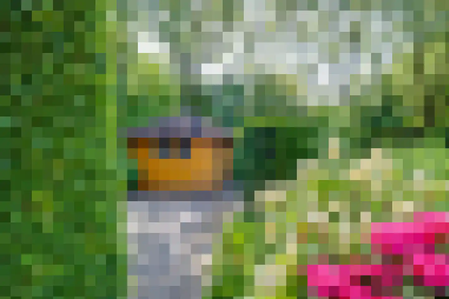 Bruggertweg 3 a Beltrum thumbnail 34