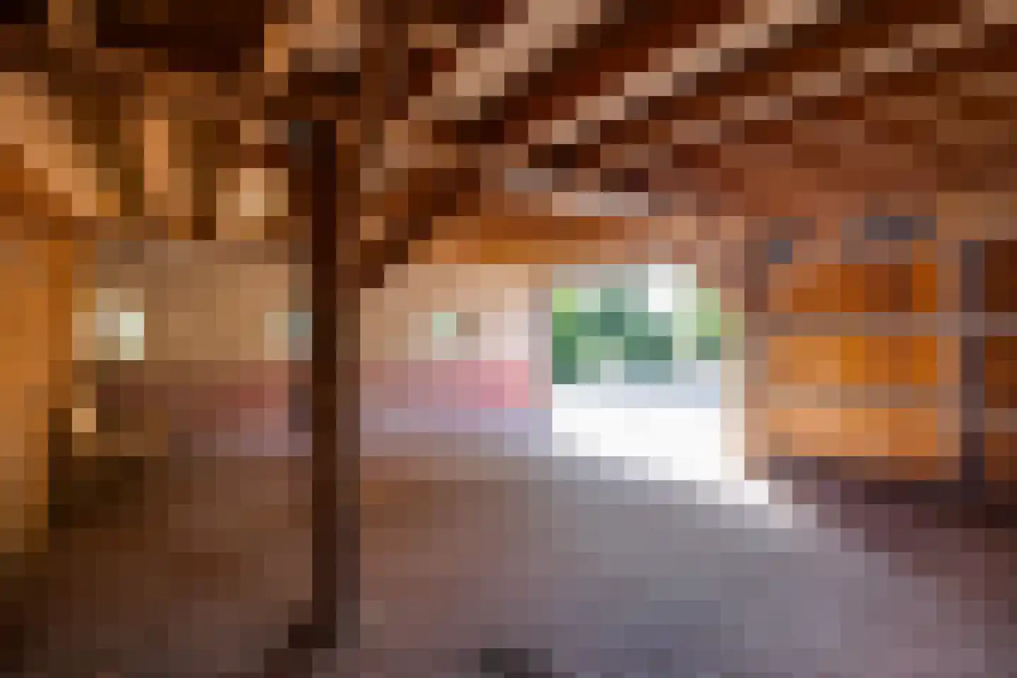 Bruggertweg 3 a Beltrum thumbnail 36