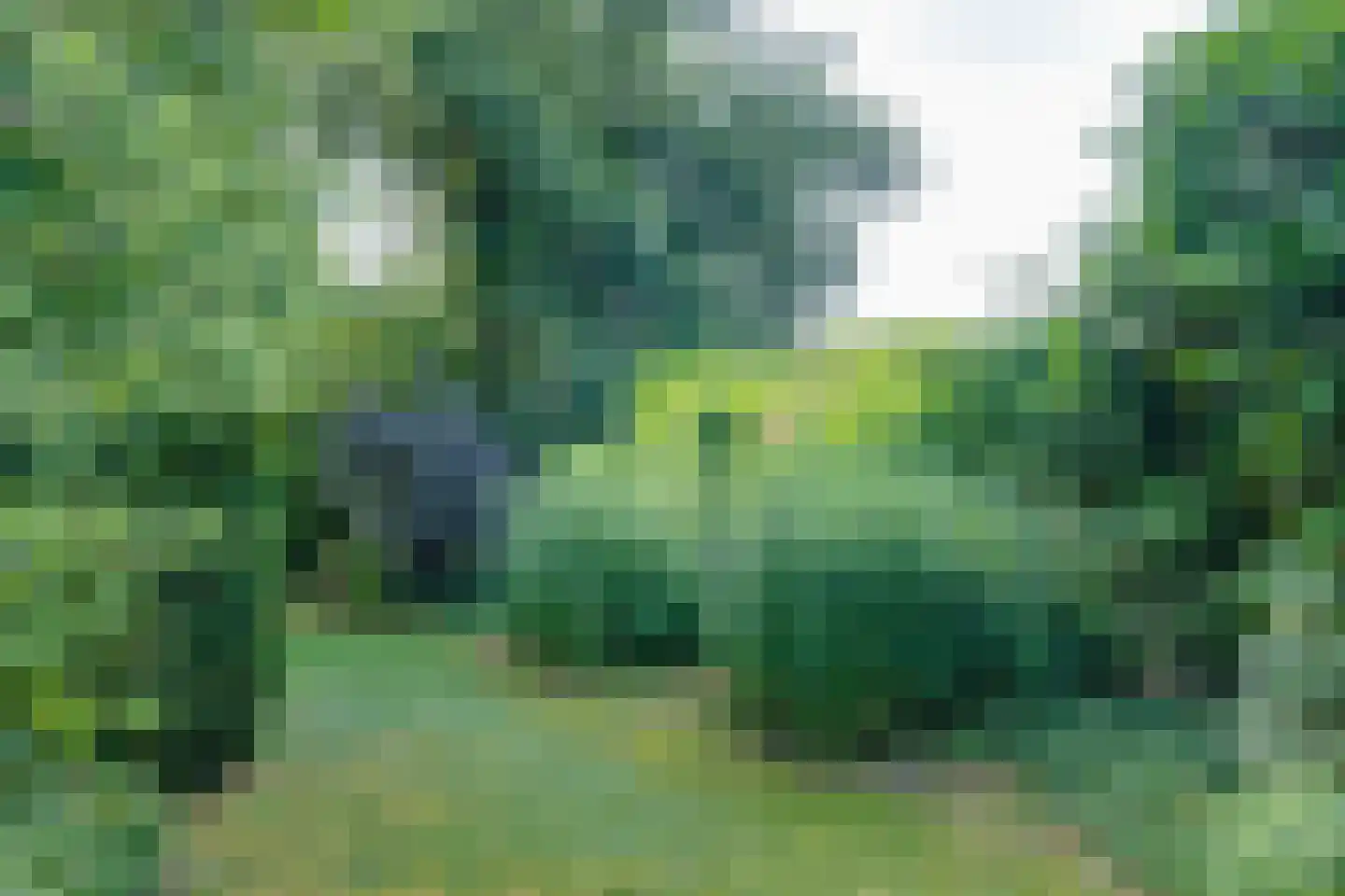 Bruggertweg 3 a Beltrum thumbnail 38