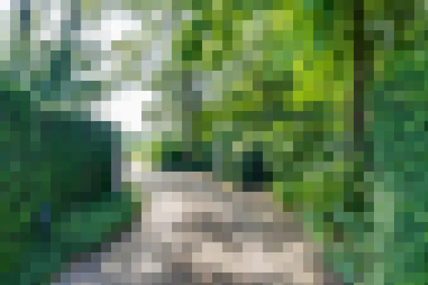 Bruggertweg 3 a Beltrum thumbnail 44
