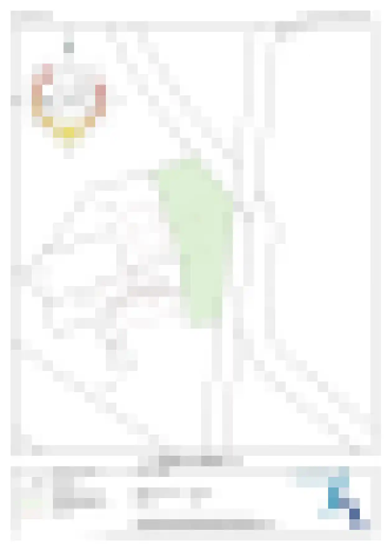 Bruggertweg 3 a Beltrum thumbnail 49
