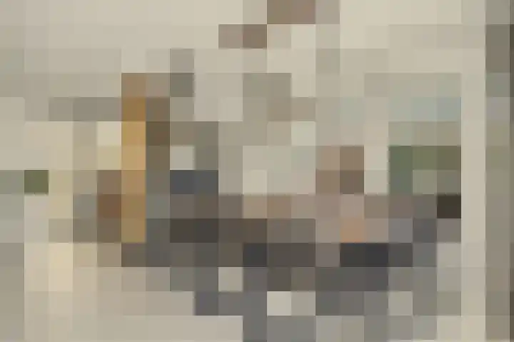 Bruggesloot 8 Broek op Langedijk thumbnail 12