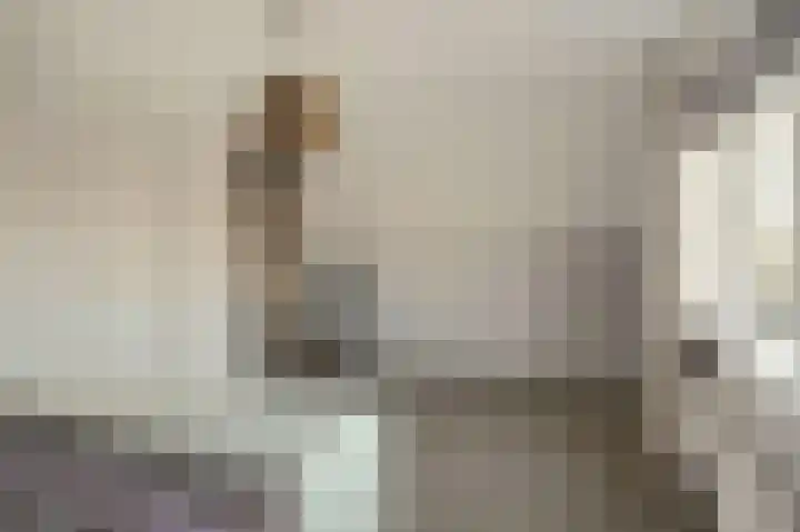 Bruggesloot 8 Broek op Langedijk thumbnail 32