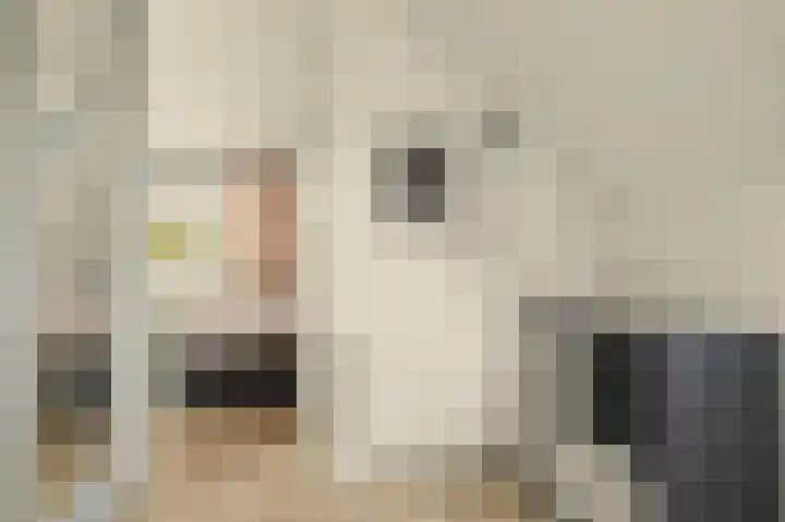 Bruggesloot 8 Broek op Langedijk thumbnail 34