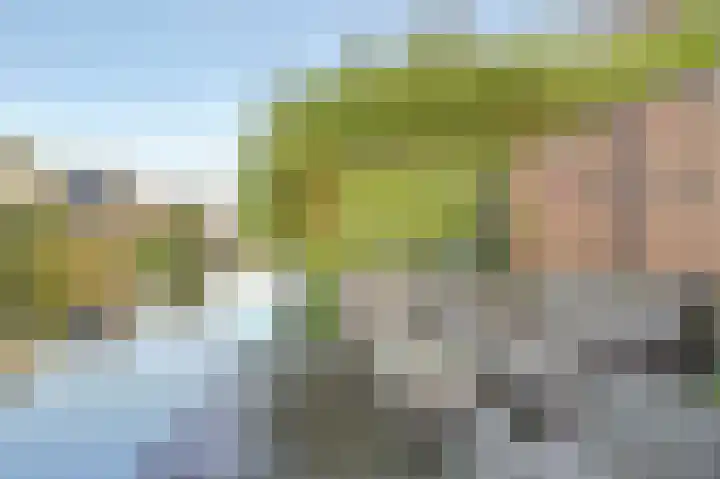 Bruggesloot 8 Broek op Langedijk thumbnail 50
