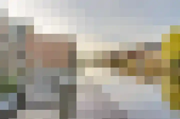 Bruggesloot 8 Broek op Langedijk thumbnail 51