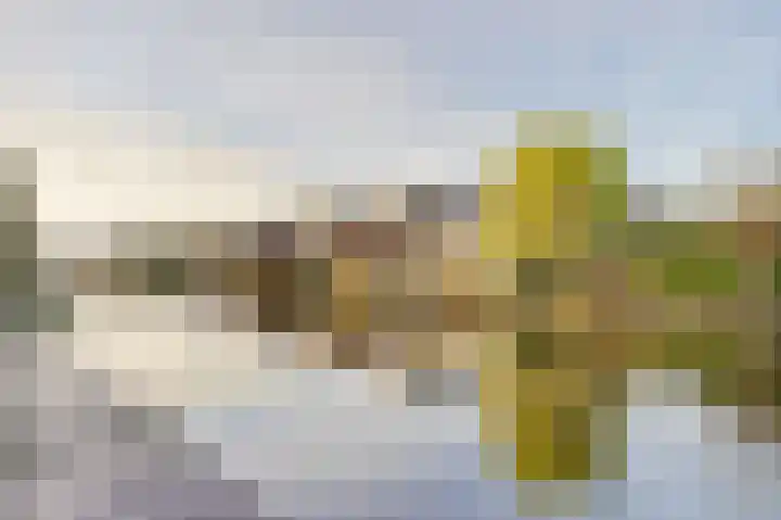 Bruggesloot 8 Broek op Langedijk thumbnail 52