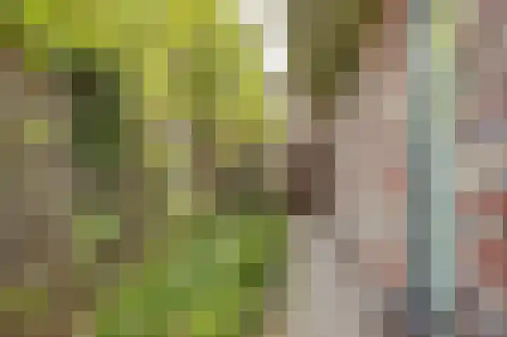 Bruggesloot 8 Broek op Langedijk thumbnail 54