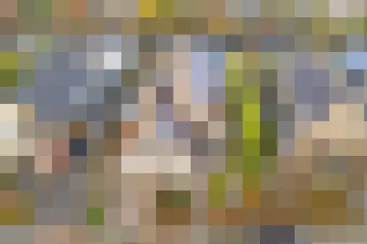 Bruggesloot 8 Broek op Langedijk thumbnail 59