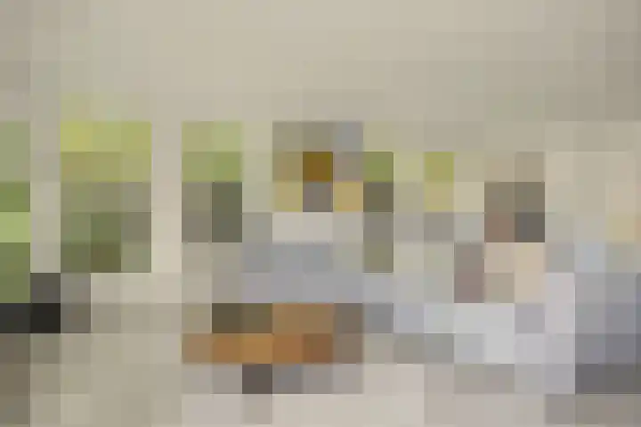 Bruggesloot 8 Broek op Langedijk thumbnail 8