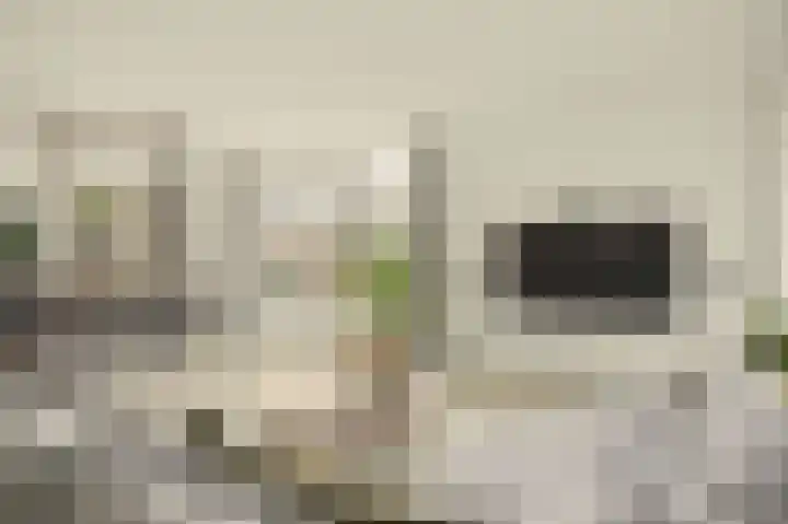 Bruggesloot 8 Broek op Langedijk thumbnail 9