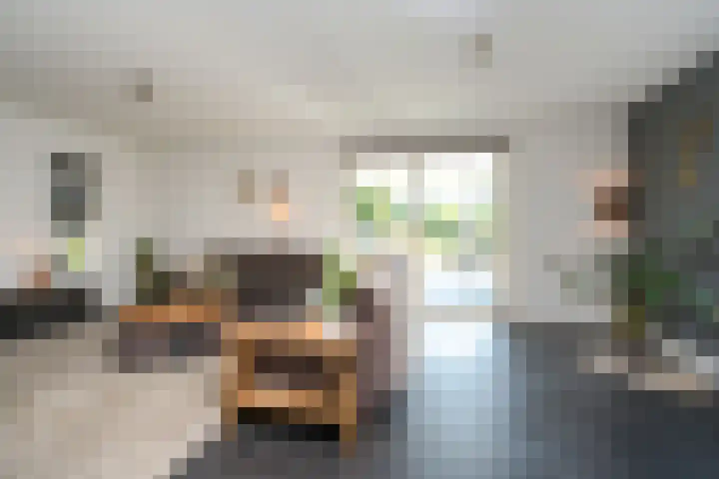 Bruglaan 19 a Aadorp thumbnail 11