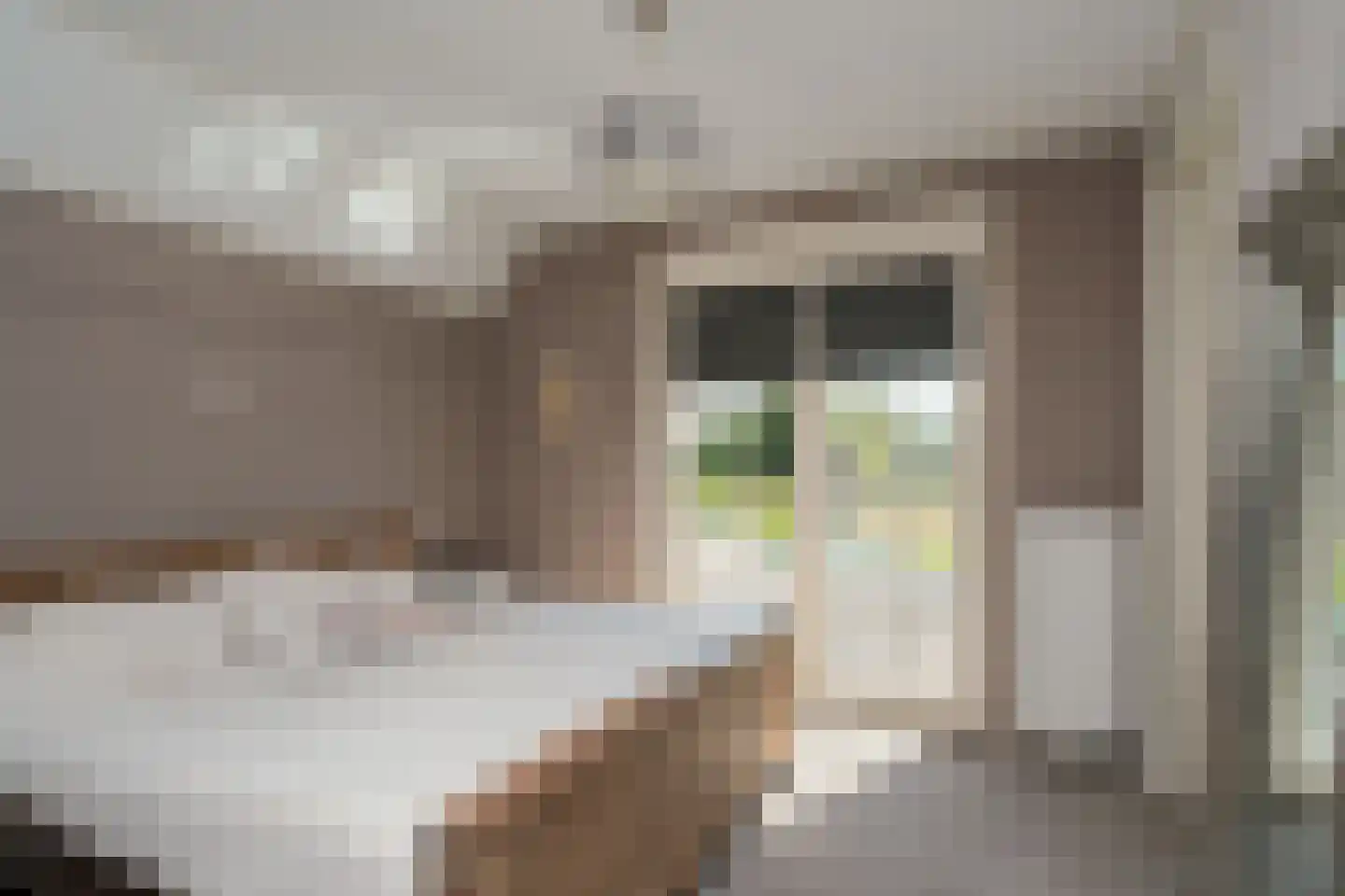 Bruglaan 19 a Aadorp thumbnail 18