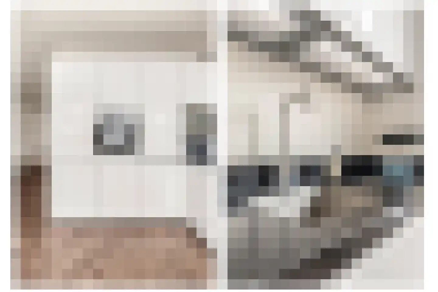 Bruglaan 21 Druten thumbnail 13
