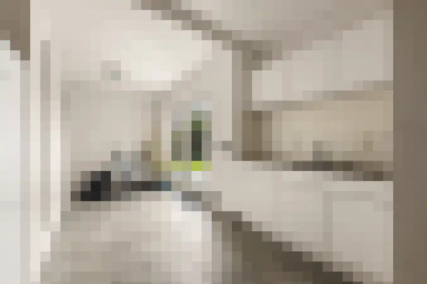 Bruglaan 21 Druten thumbnail 16