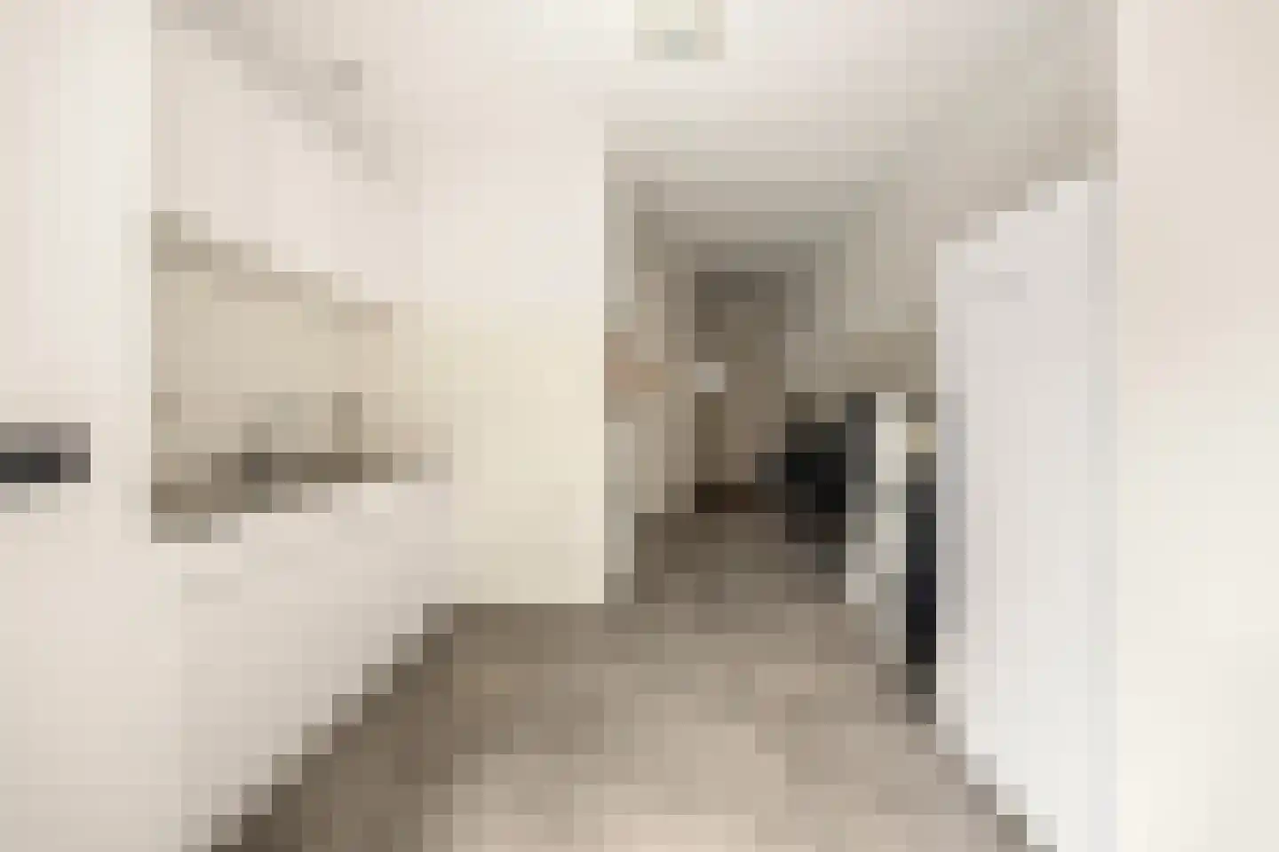 Bruglaan 21 Druten thumbnail 18