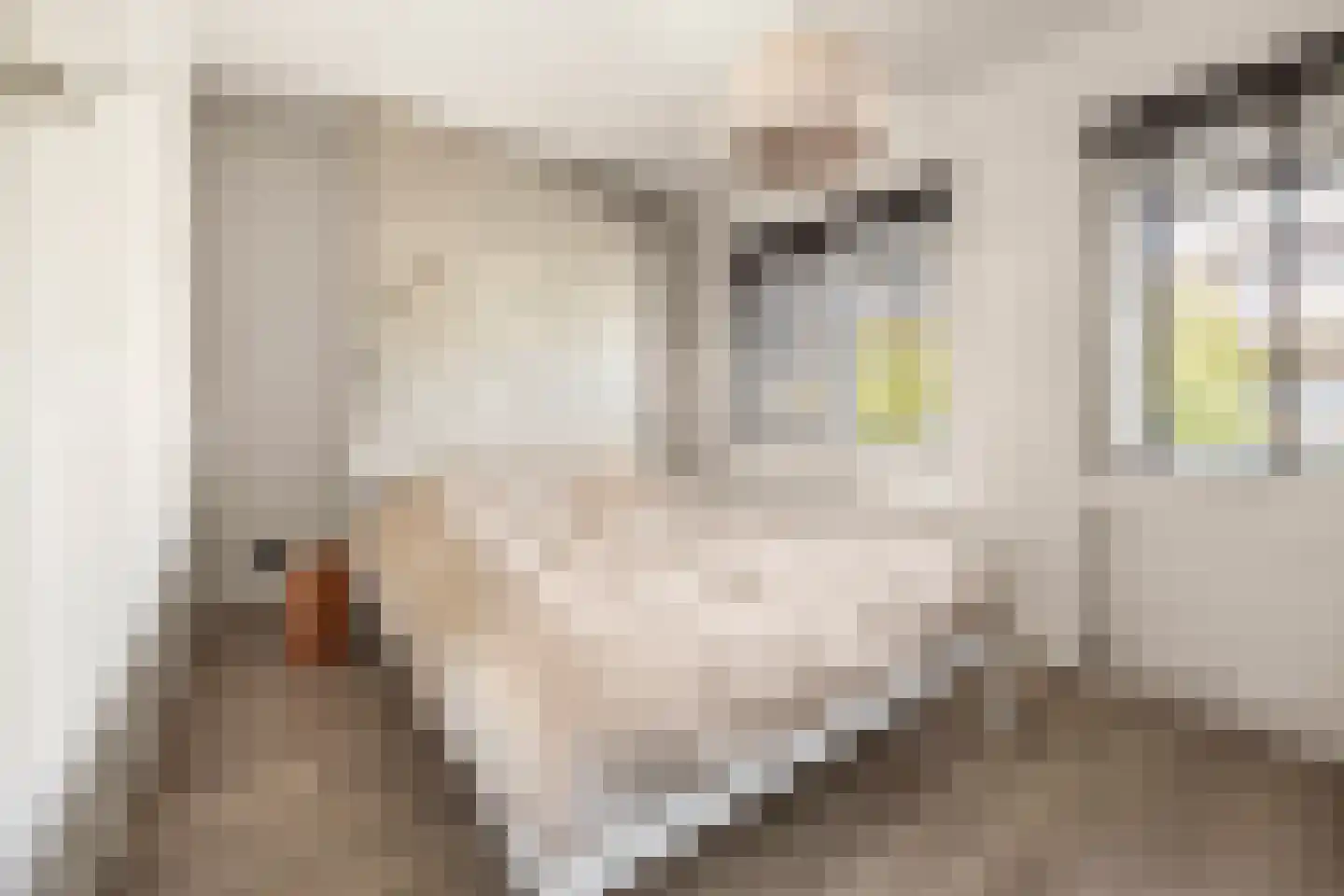 Bruglaan 21 Druten thumbnail 21