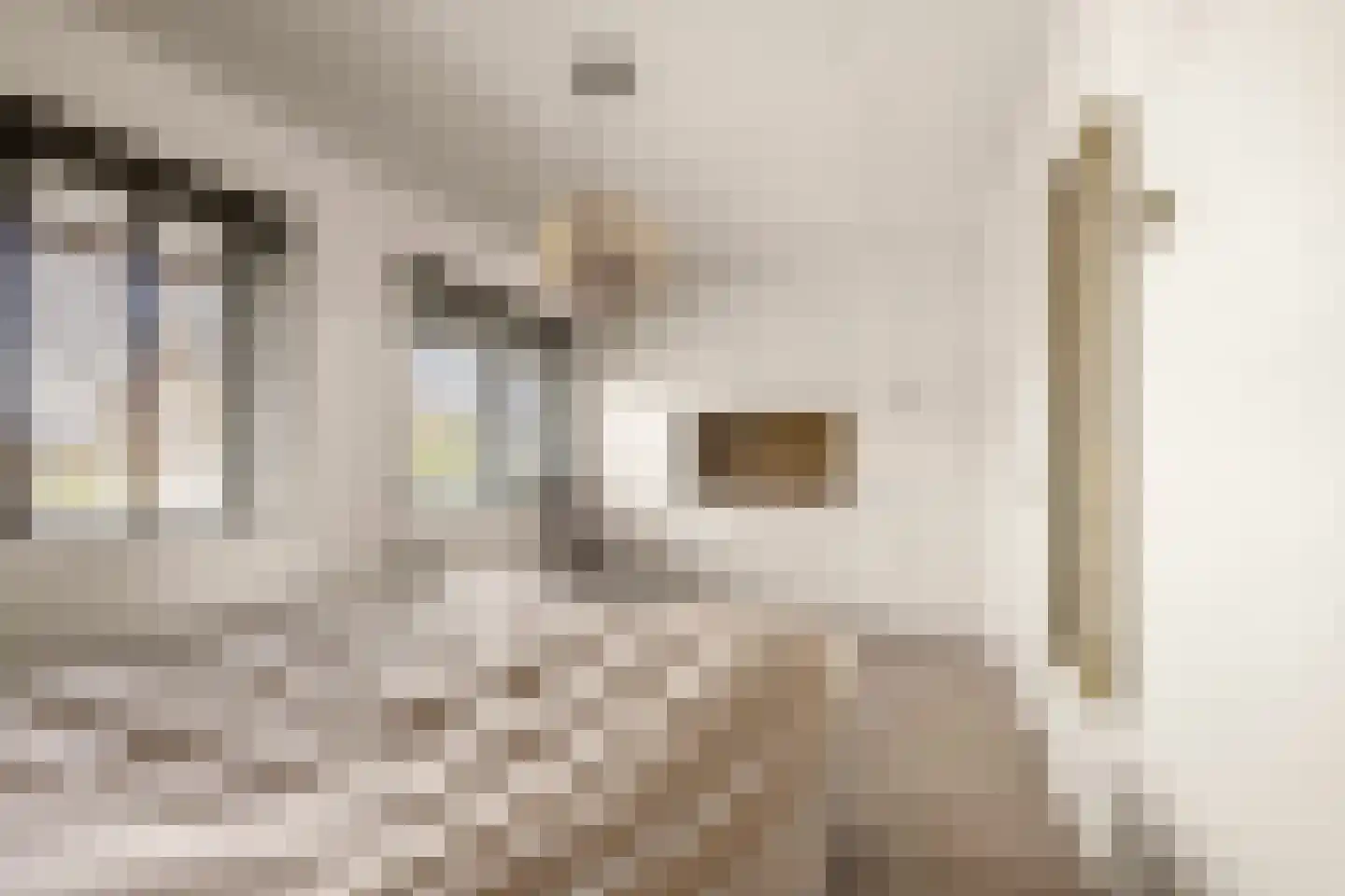 Bruglaan 21 Druten thumbnail 23