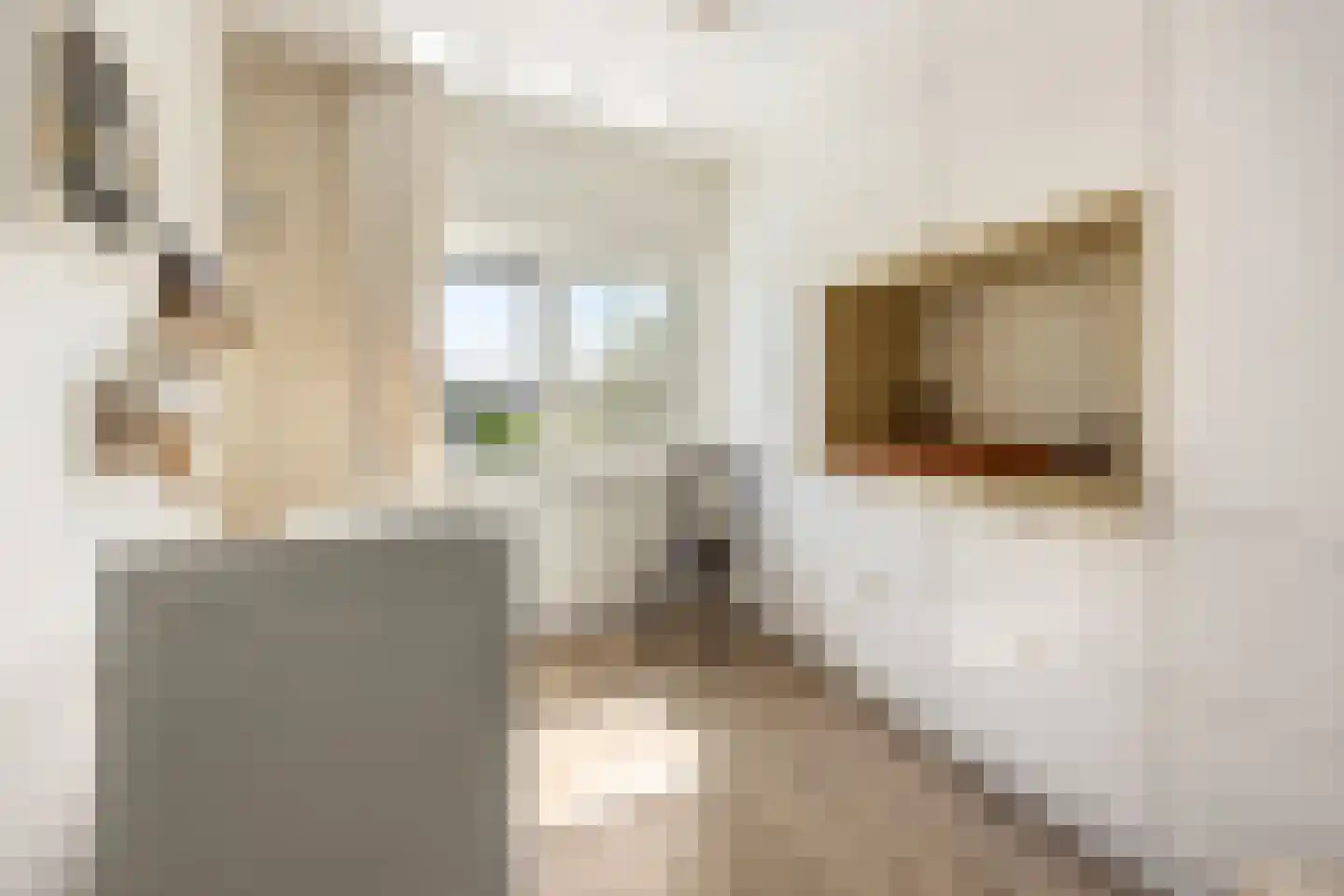Bruglaan 21 Druten thumbnail 24