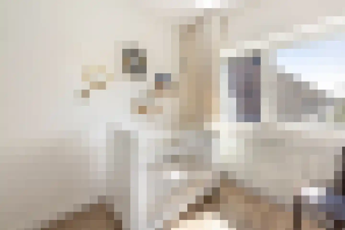 Bruglaan 21 Druten thumbnail 25